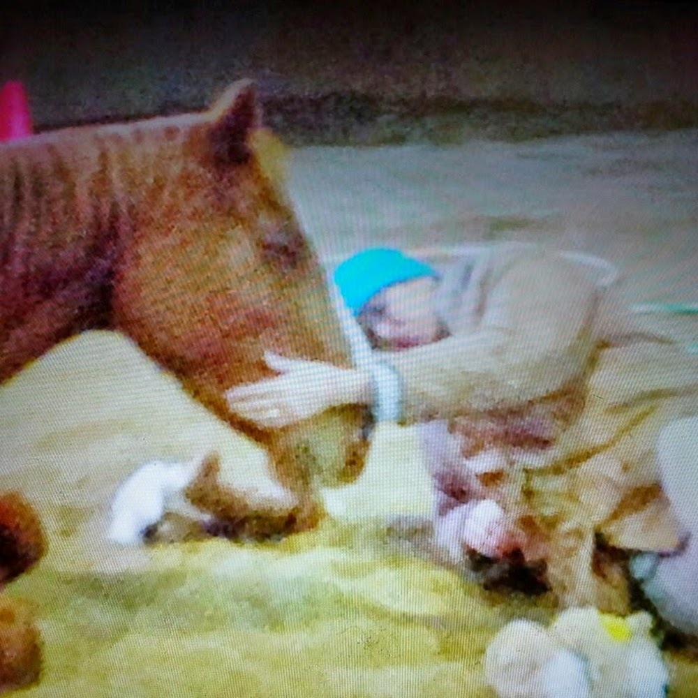 Meet your Posher, Meredith